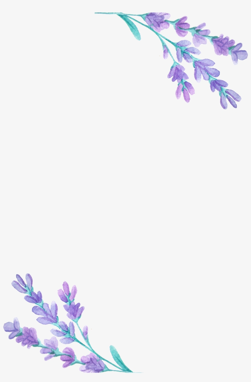 1500 X 2100 7 - Transparent Lavender Watercolor, transparent png download