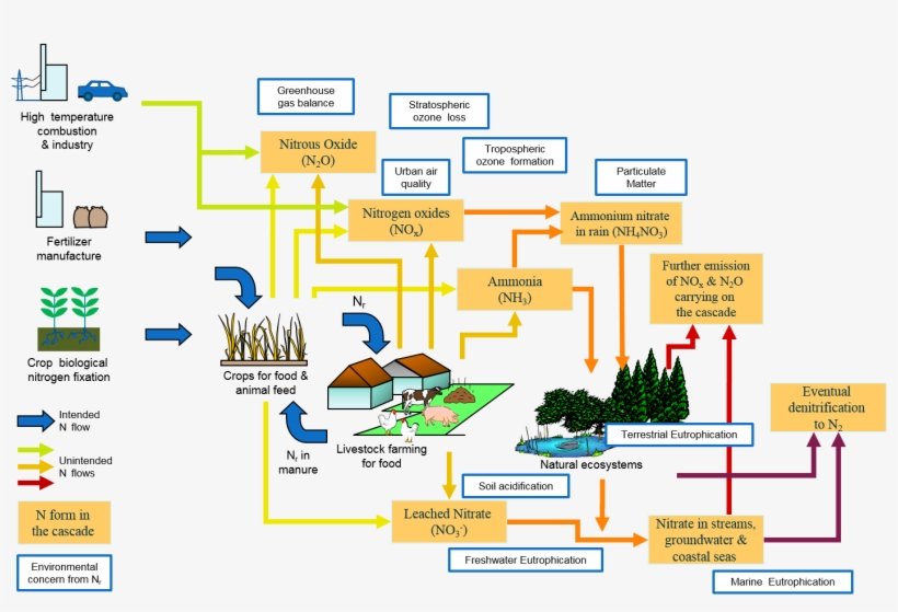 Nitrogen Cascade, transparent png download