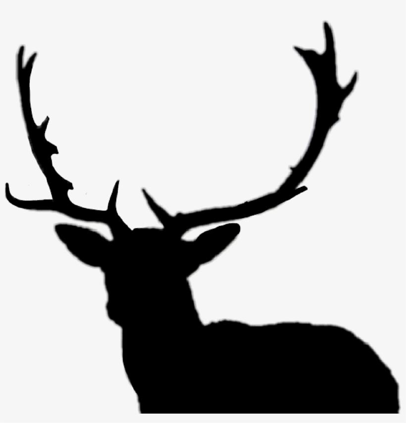 Largest Collection Of Free To Edit Ombre Hair Stickers - Sayings About Deer Antlers, transparent png download