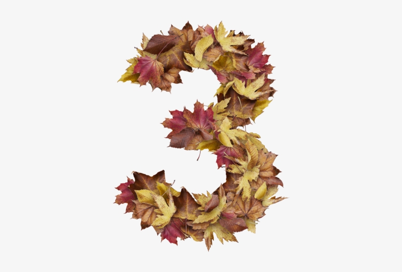 3 Number With Dry Leaves - Prince Of Wales Feathers, transparent png download