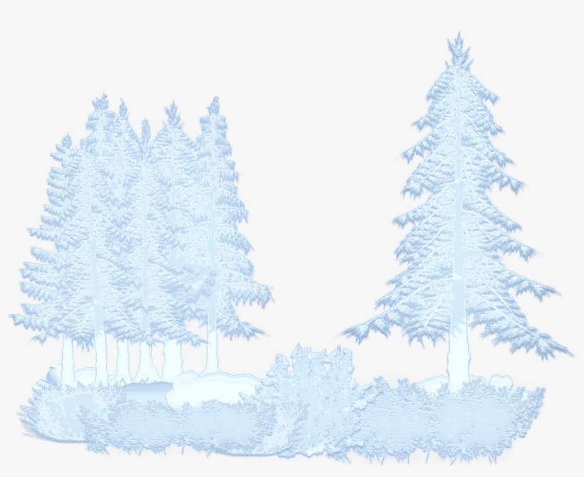 Winter, Snow, Trees, Forest - Arvores Com Neve Png, transparent png download