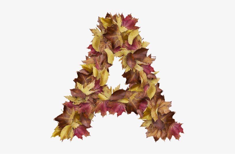 Letter A From Dry Leaves - Prince Of Wales Feathers, transparent png download