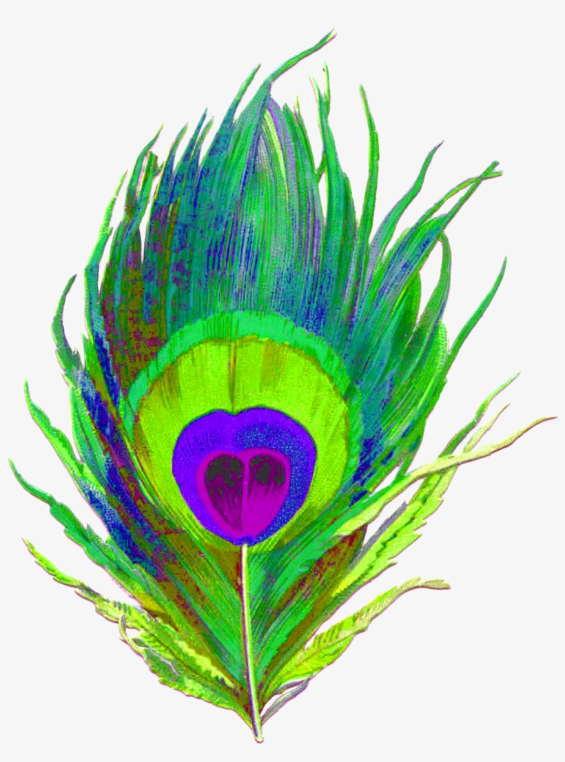 Peacock Feather Design - Pena De Pavao Png, transparent png download