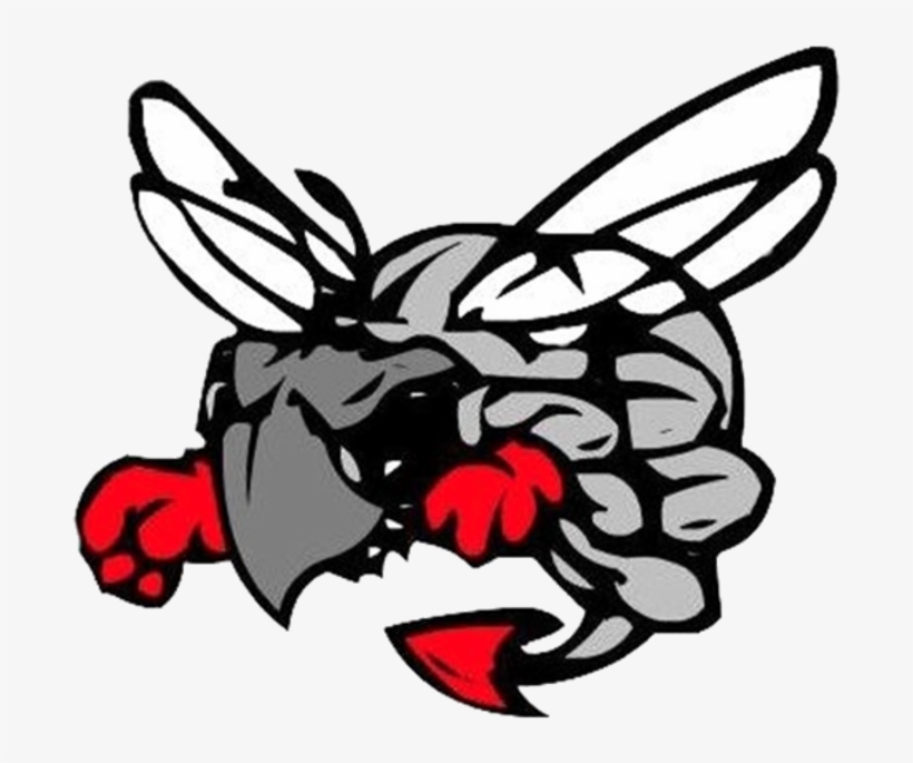 Hilldale High School Logo, transparent png download