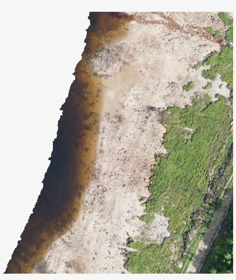 Kml Href, E0031 - Grass, transparent png download