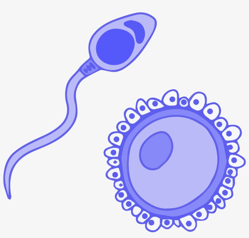 Glossary Innovative Genomics Institute - Circle, transparent png download