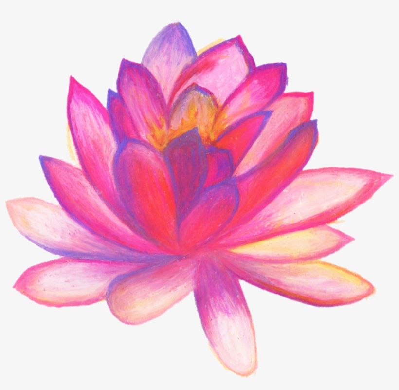 #estrellas #holga #balloon #baby #acuarela #color #art - Drawn Flower Png, transparent png download