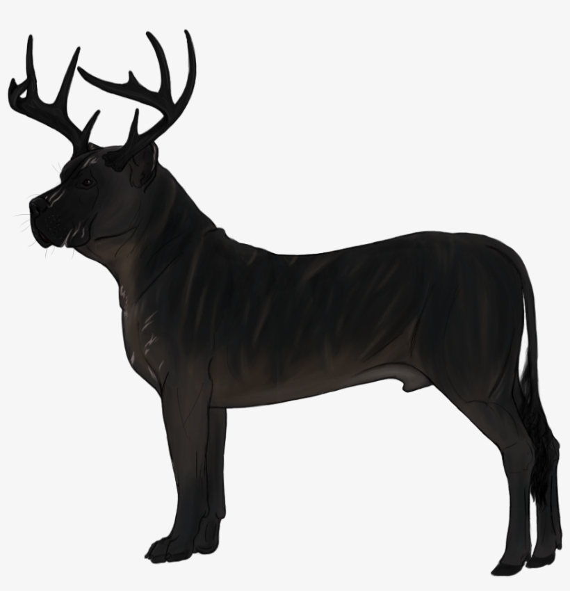 Name Tank, William Draven, Identification Title - Elk, transparent png download