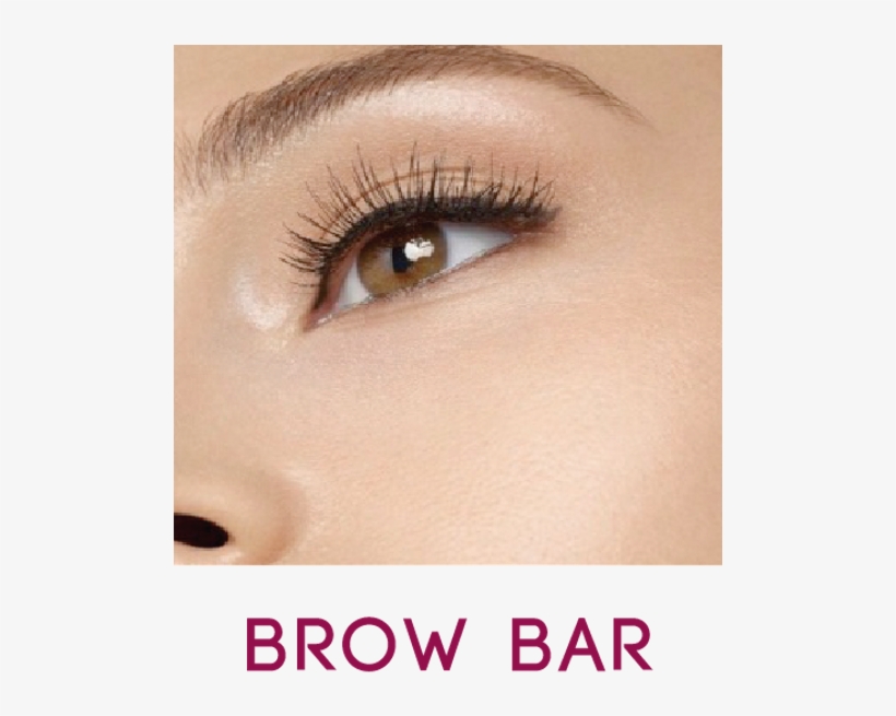 Read More - Close-up, transparent png download