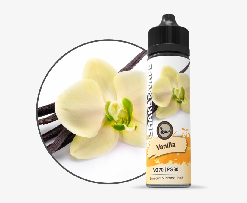 Vanilla - Vanilla An Orchid, transparent png download