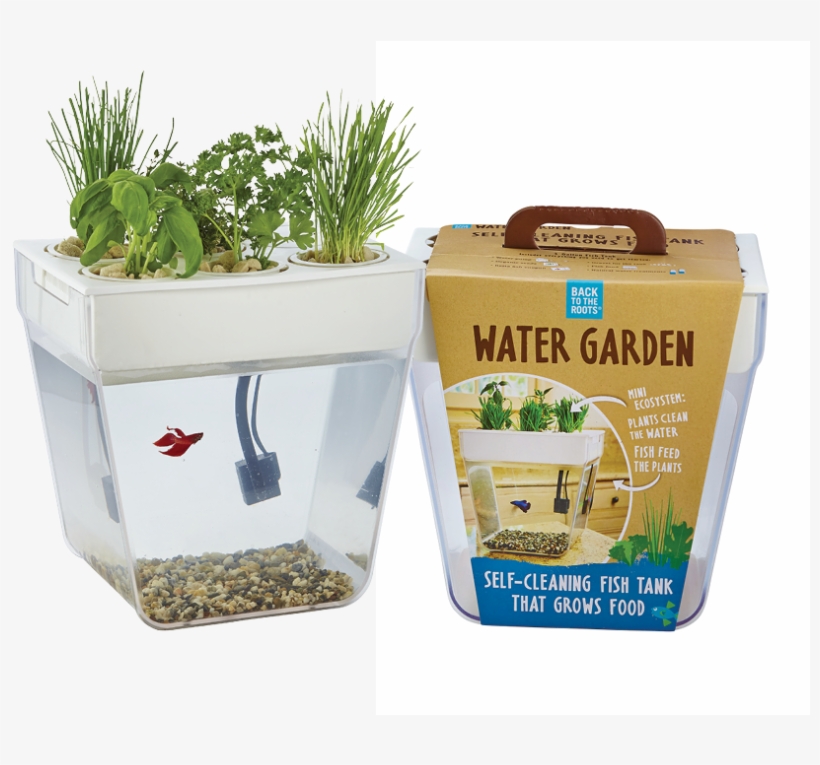 Self Cleaning Fish Tank - Herb Growing Set Indoor, transparent png download