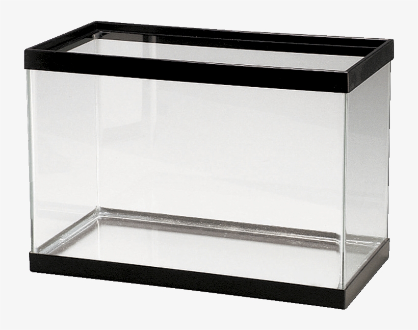 Perfecto All Glass Aquarium Tank - 24 X 12 X 20 Aquarium, transparent png download