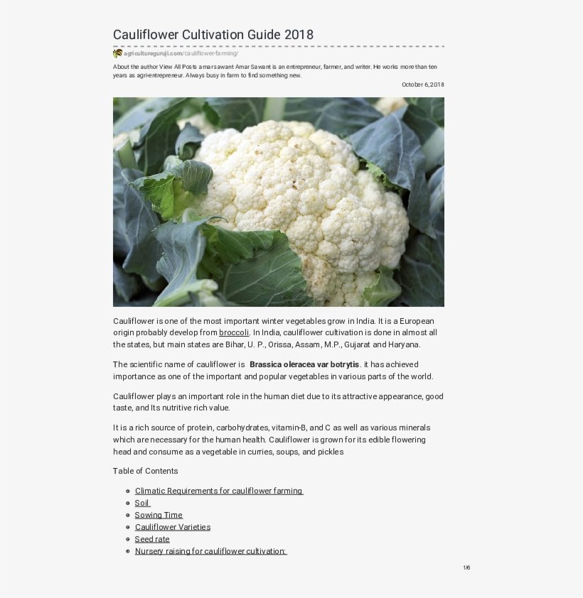 Pdf - 7 Cauliflower, transparent png download