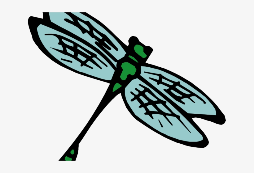 Insect Clipart Kid Png - Insect Clip Art Transparent, transparent png download