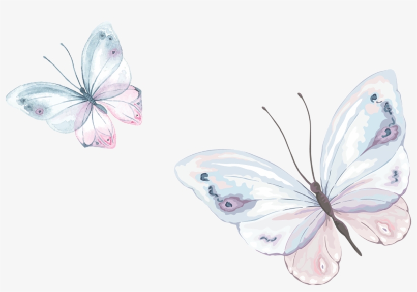 Herbal Infusions - Large White, transparent png download