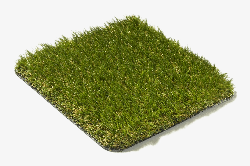 Lido 30mm - Types - Grass - Evergreen Grass, transparent png download