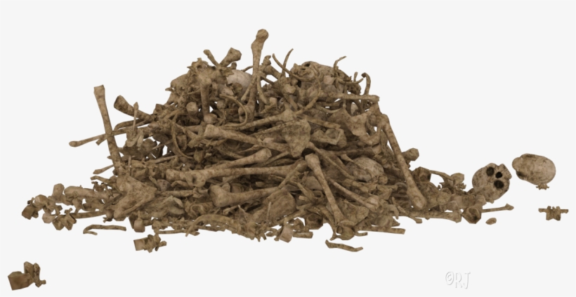Posted By Rj At - Driftwood, transparent png download