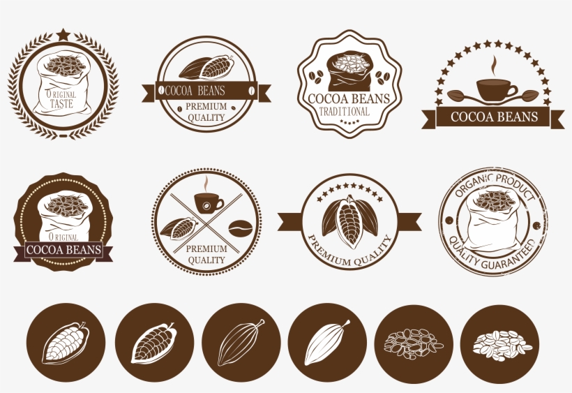Cocoa Bean Vector, transparent png download
