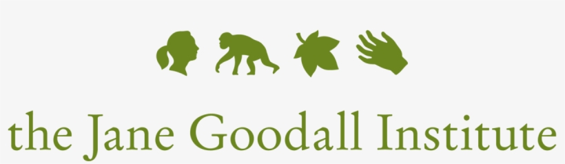 Interested In Becoming A World Chimpanzee Day Partner, transparent png download