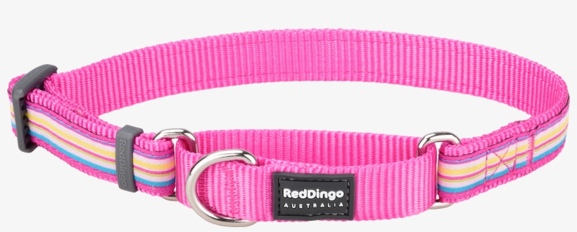 Products - Belt, transparent png download