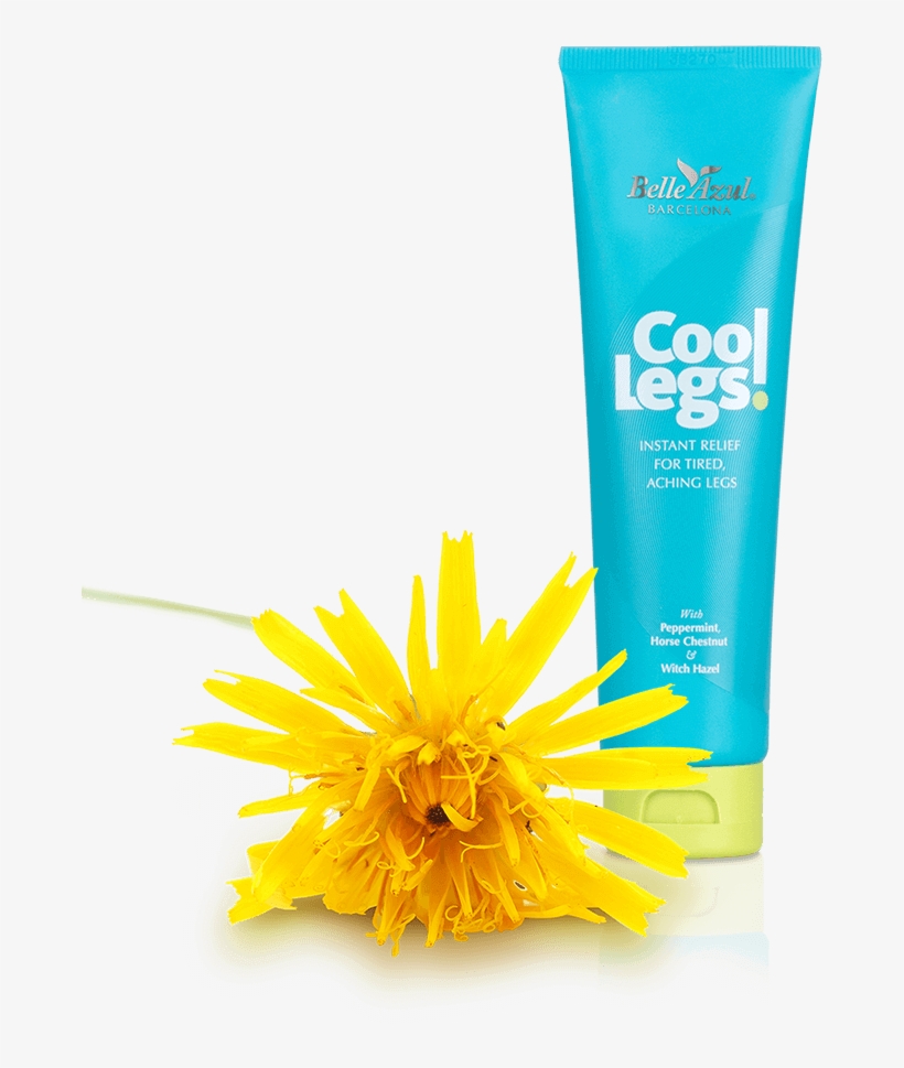 Known As Liquid Gold This Oil Deeply Regenerates Skin, - Dandelion, transparent png download