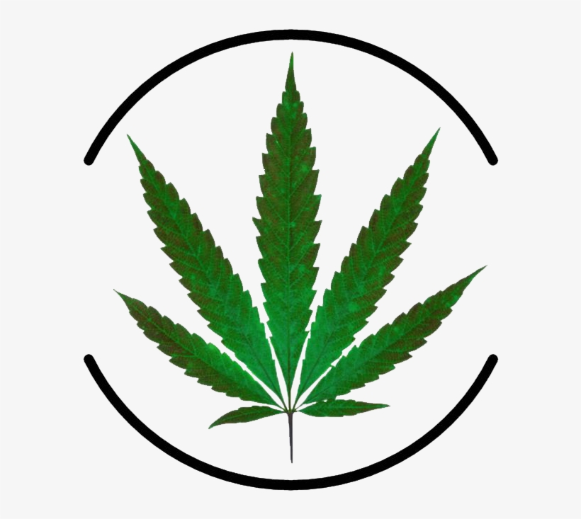 Marijuana Leaf, transparent png download