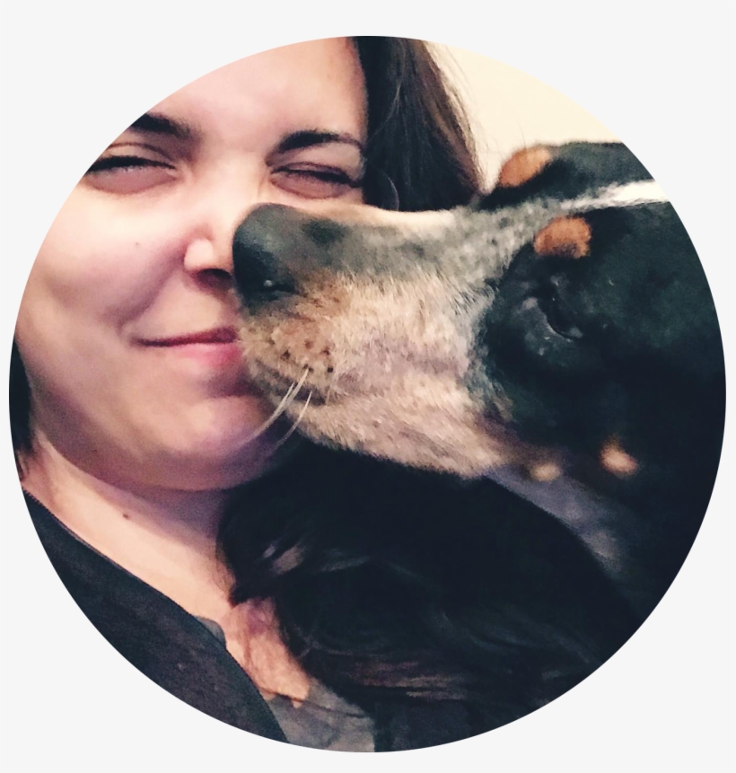 Foster - Companion Dog, transparent png download