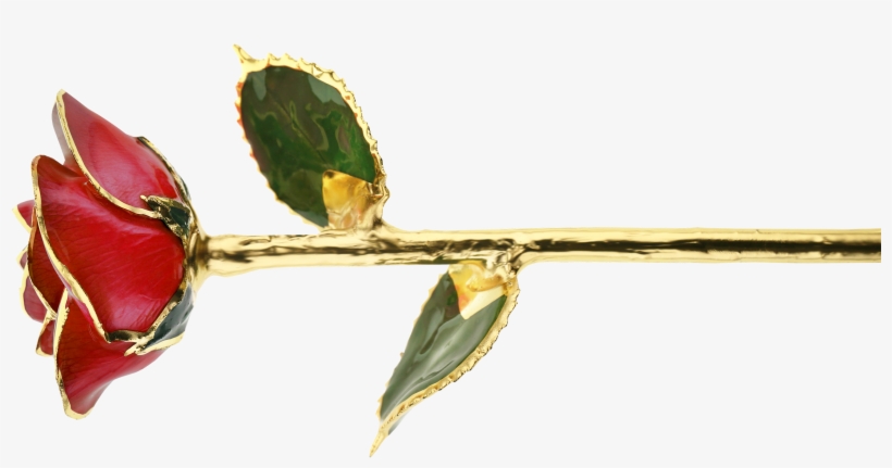 Roses Starting At $59 - Twig, transparent png download