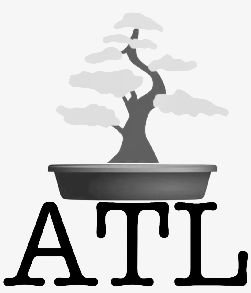 Big Dreams, Small Trees - Advanced Placement, transparent png download
