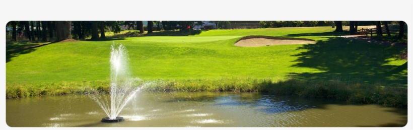 Fort Steilacoom Golf Course - Water Feature, transparent png download