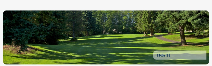 Lawn, transparent png download