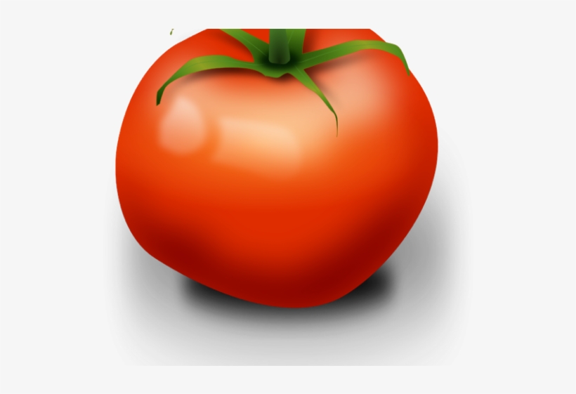 Coffee Plant Clipart Vegetable Plant - Tomato Clip Art, transparent png download