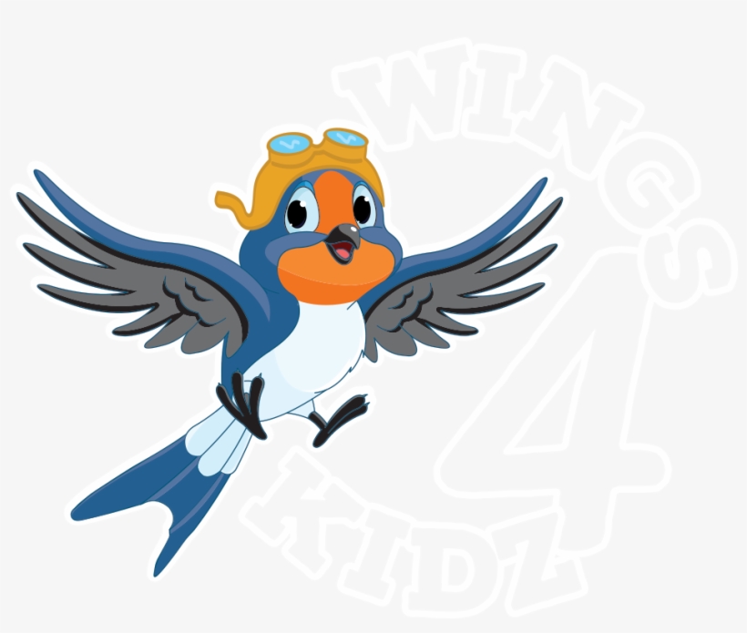 With Act On Board, Flying Charity Takes Off - Parrot, transparent png download