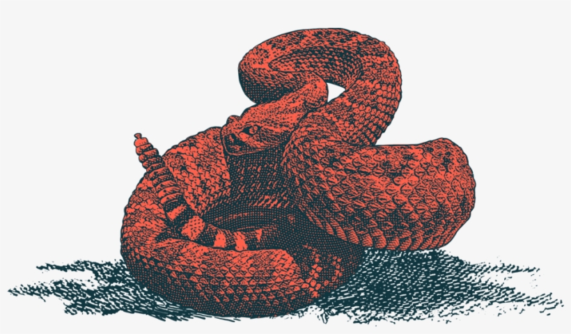 Serpent, transparent png download