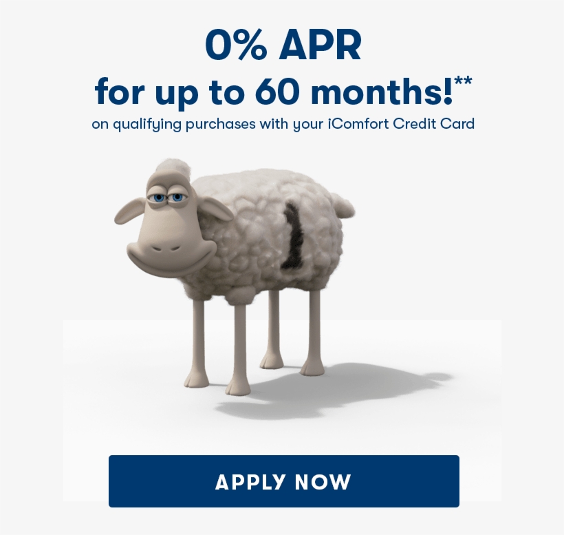 0% Financing Up To 60 Months - Sheep, transparent png download