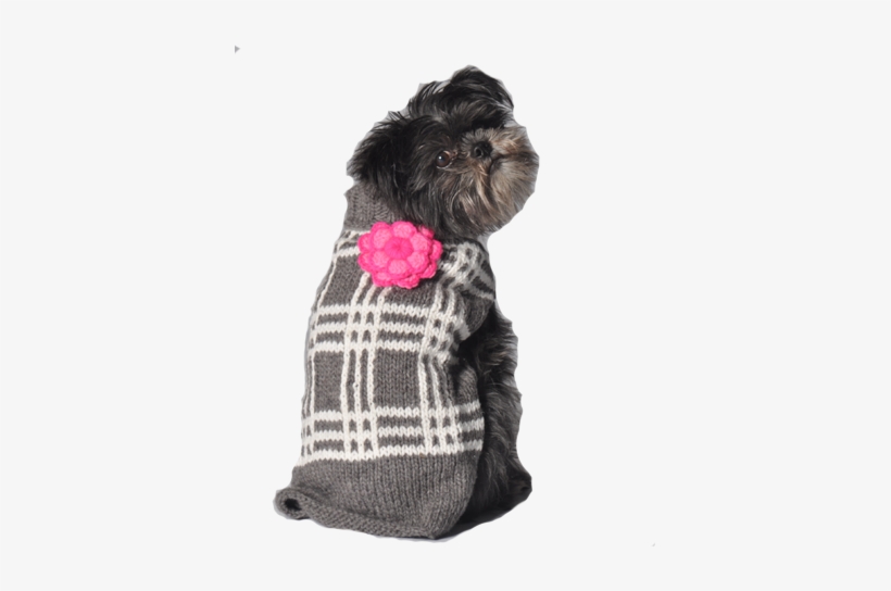 Dog Clothes, transparent png download