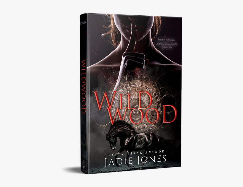 You Enjoy Solving A Mystery In Time With The Protagonist - Gadget, transparent png download