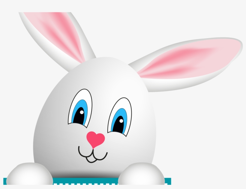 Domestic Rabbit, transparent png download