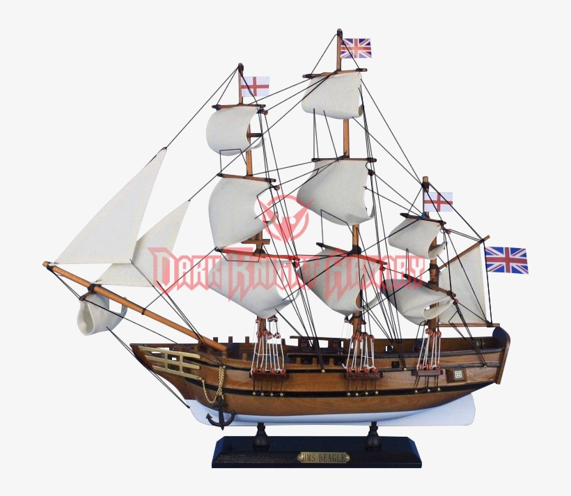Handcrafted Nautical Decor Hms Beagle Model Yacht, transparent png download