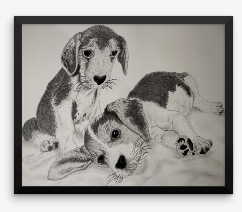 Harrier, transparent png download