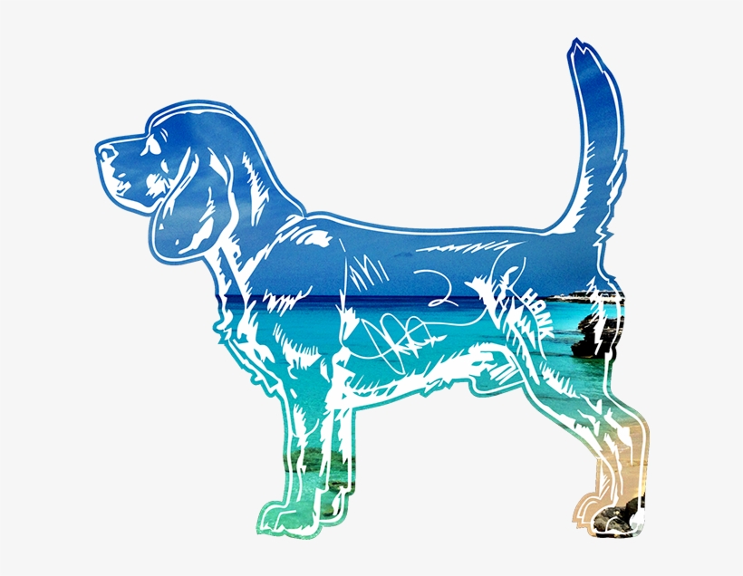 Custom Regal Beagle Tee - T-shirt, transparent png download