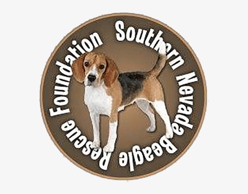 Issue - Beagle-harrier, transparent png download