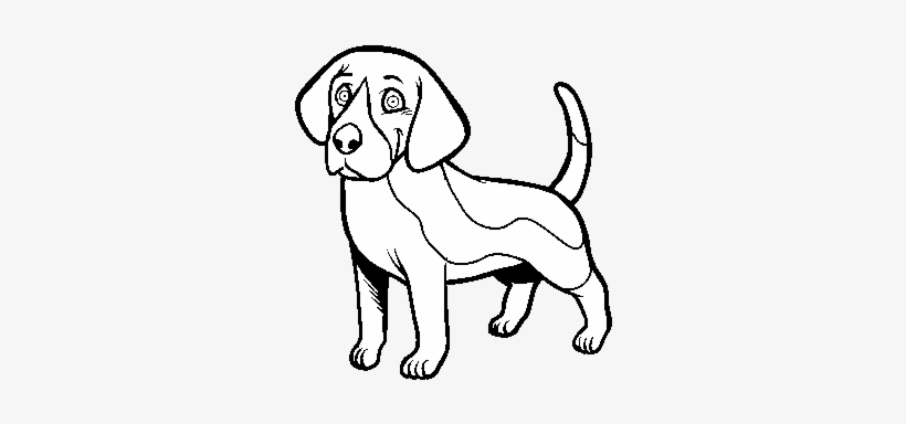 Dibujo De Perro Beagle Para Colorear Disegni Di Cani Beagle Png