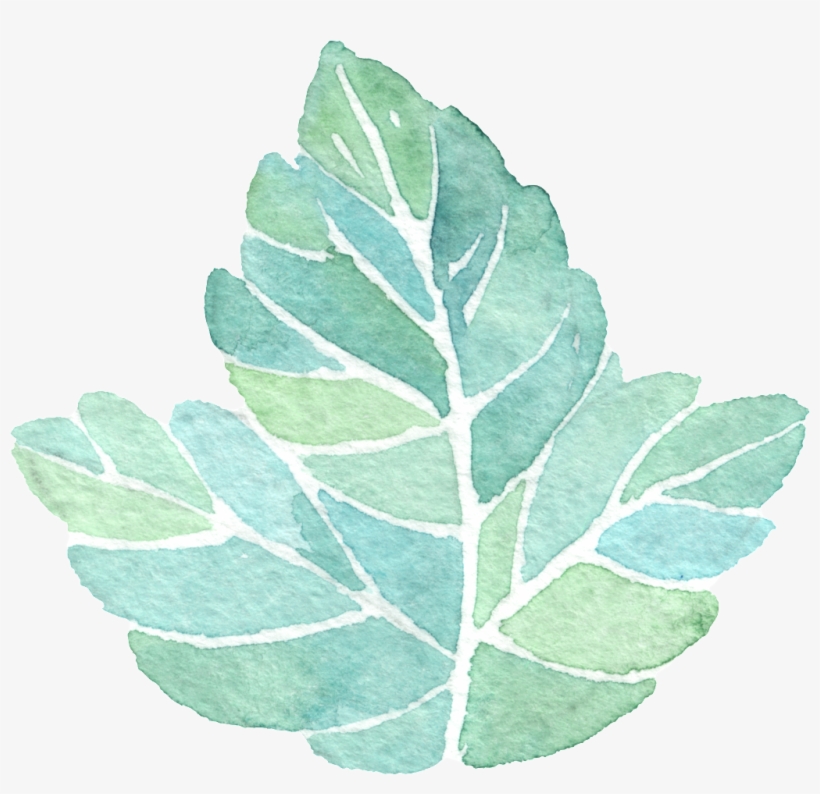 Este Gráficos É A Piece Of Watercolor Leaf Transparent - 小 清新 Png 素材, transparent png download