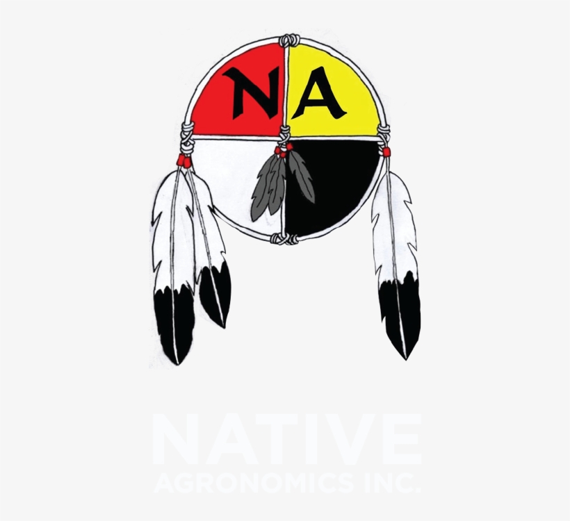 Clip Art Medicine Wheel, transparent png download