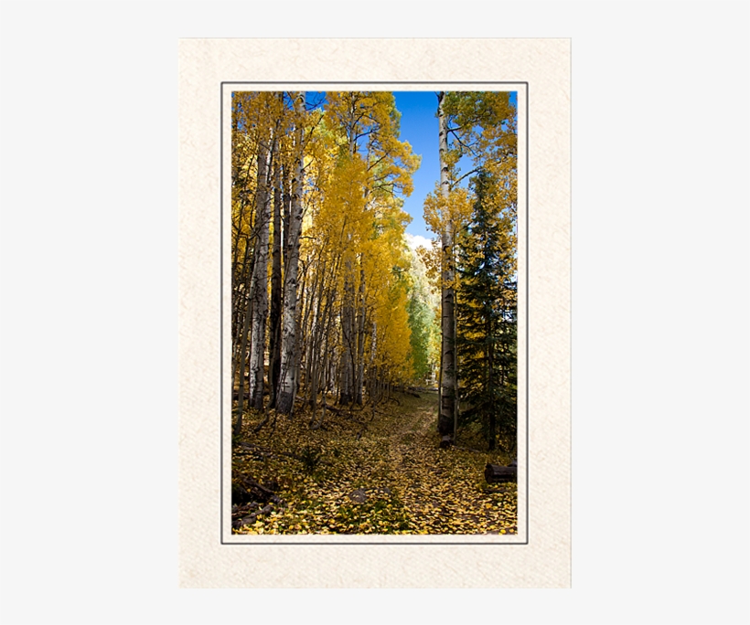 Aspen Walk - Picture Frame, transparent png download