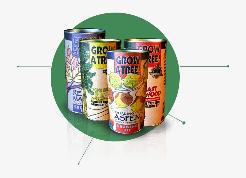 Plant A Tree Kit - Jonsteen Company Quaking Aspen Grow Kit, transparent png download