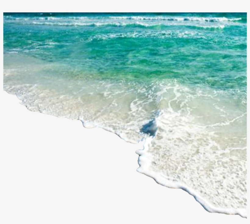 Shore Wave Transparent Png, transparent png download