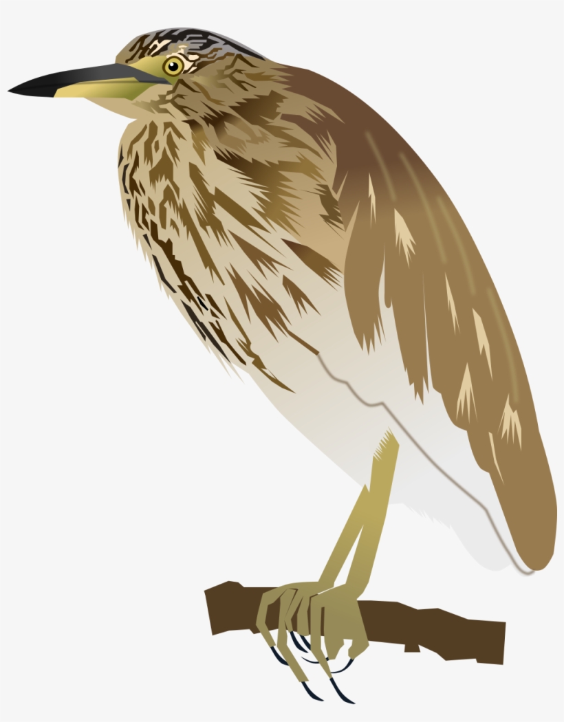 Open - Heron, transparent png download