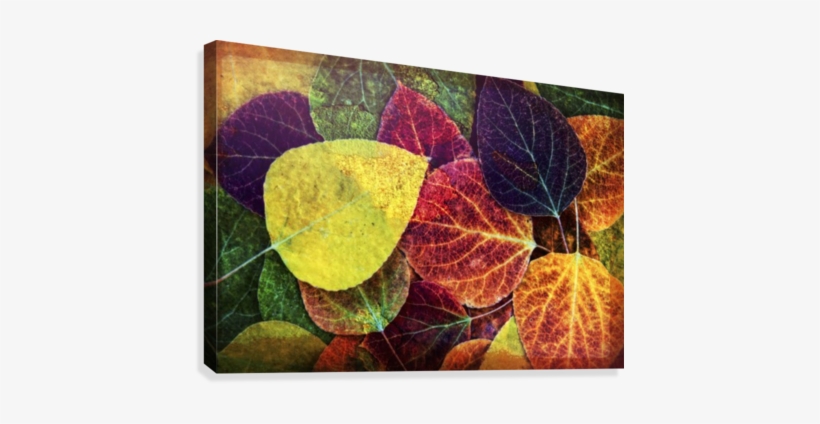 Four - Counseling: A Comprehensive Profession, transparent png download